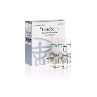 Kjøp Testosteron enanthate i Norge | Testobolin (ampoules) Online